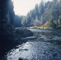 ph 24750 Grand River