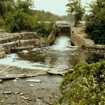 3949 dam 1981