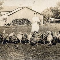 ph 15569: Girl feeding chickens.