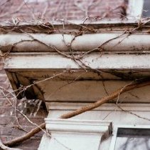 8806 brick house 1977