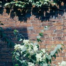 8822 brick house 1971