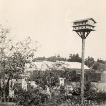ph 24516 Templin Gardens purple martin house ca.1935