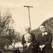 ph 24568 birthday flowers ca.1930