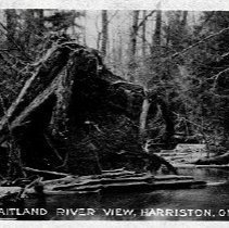 Maitland River, Harriston, Ontario, 1910.