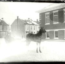 Horse and sleigh beside Elora Carnegie Library at corner of Henderson and G