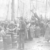 Aberdeen Fish Market, Scotland, ca. 1885