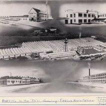 ph 9667 Beatty Bros. ca.1950