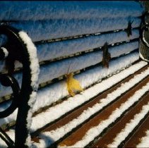 ph 18240_14 Snow-covered bench, 22 Oct. 1987.