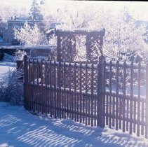 ph 18240_15 Ice-coated trees and trellis work, 3 Dec. 1987.