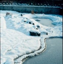 ph 18240_4 Ponds, stone wall in background, Dec. 1984.