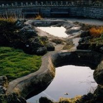 ph 18241_11 Ponds with vegetation, wall and benches in background, Dec. 199