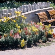ph 18241_15 Flowers, benches and stone wall, July 1991.