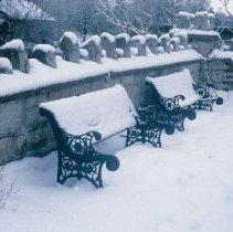 ph 18241_8 Benches beside stone wall, 10 Jan. 1990.