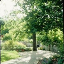 ph 18242_11 Pathway winding through trees and gardens, 1993.