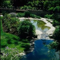ph 18242_14 Ponds, foliage and flowers, June 1993.