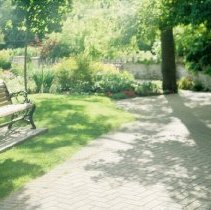 ph 18242_16 Pathway winding between a bench and tree, July 1993.
