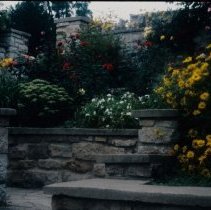 ph 18242_5 Flower gardens surrounded by stone walls, Aug. 1992.