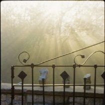 ph 18242_7 Sunlight through the fog, wrought iron gate and stone wall, Oct.