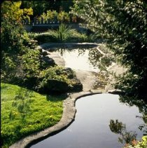 ph 18243_5 Ponds and foliage, Oct. 1993.