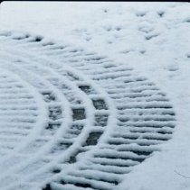 ph 18243_8 Design in brick pathway, 29 Mar. 1994.