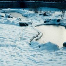 ph 18244_2 Ponds, Dec. 1994.