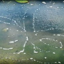 ph 18244_5 Patterns in water, Aug. 1995.