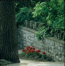 ph 18245_16 View down brick pathway, June 1997.