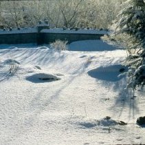 ph 18245_3 Snowscape with tree and wall, 13 Dec. 1995.