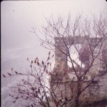 ph 18245_5 Fog, June 1996.