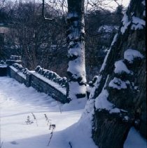 ph 18246_13 Trees and wall in snow, February 1999.