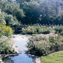 ph 18246_7 Ponds and flower gardens, July [1998?].