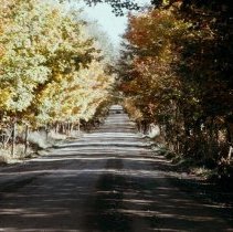 2440 east of Ballinafad 1976