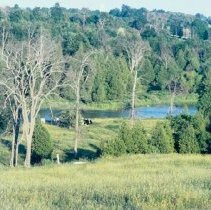 13634 river valley 1971