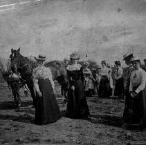 Women and team of horses at barn raising, near Harriston, Ontario, 1901.