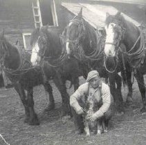 ph 21173 man, dog, & horses