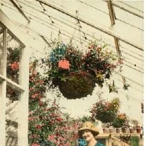 ph 18399 Young woman in greenhouse, ca. 1910.