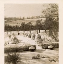 ph 20504 Winter scene front walk at WCMA.