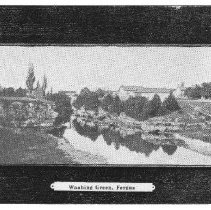 ph 14095  Washing green, ca. 1910