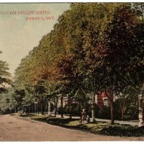 ph 14119  St. David street, 1910