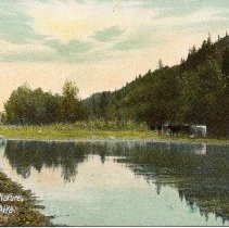Rural scene near Calgary, 1909.