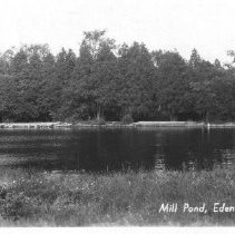 ph 15388: Mill pond