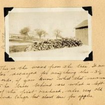 Wood pile on McCormick farm, Puslinch Twp., ca. 1930
