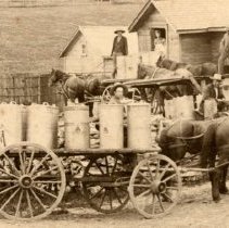 ph 24186 detailm with workers