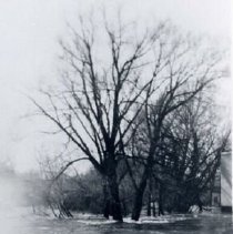 Maitland River in flood, Harriston, 1954