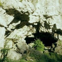 3533 cave 1966