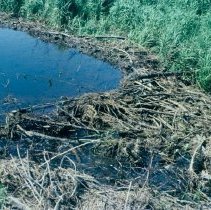 3538 beaver dam from above 1969