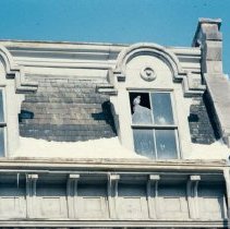 5608 bird in window 1967