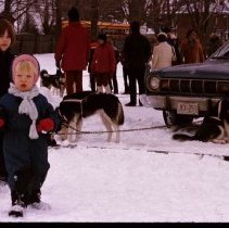 ph 14809a Heritage Day, Elora 1975: dog sled races.