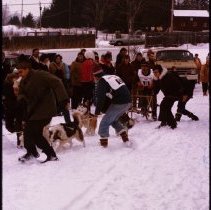 ph 14809b Heritage Day, Elora, 1975: dog sled races.