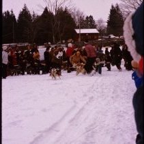 ph 14809d Heritage Day, Elora 1975: dog sled races.